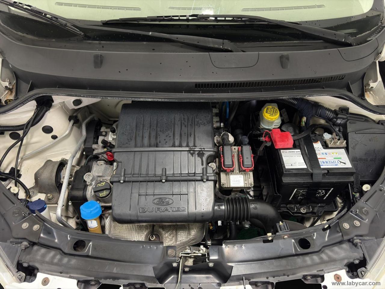 FORD Ka+ 1.2 8V 69 CV Titanium