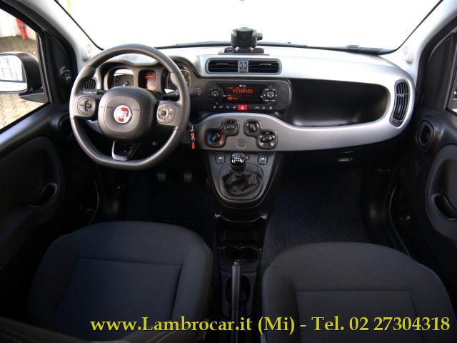 FIAT Panda Cross 1.0 FireFly S&S Hybrid 70cv OK NEOPATENTATI