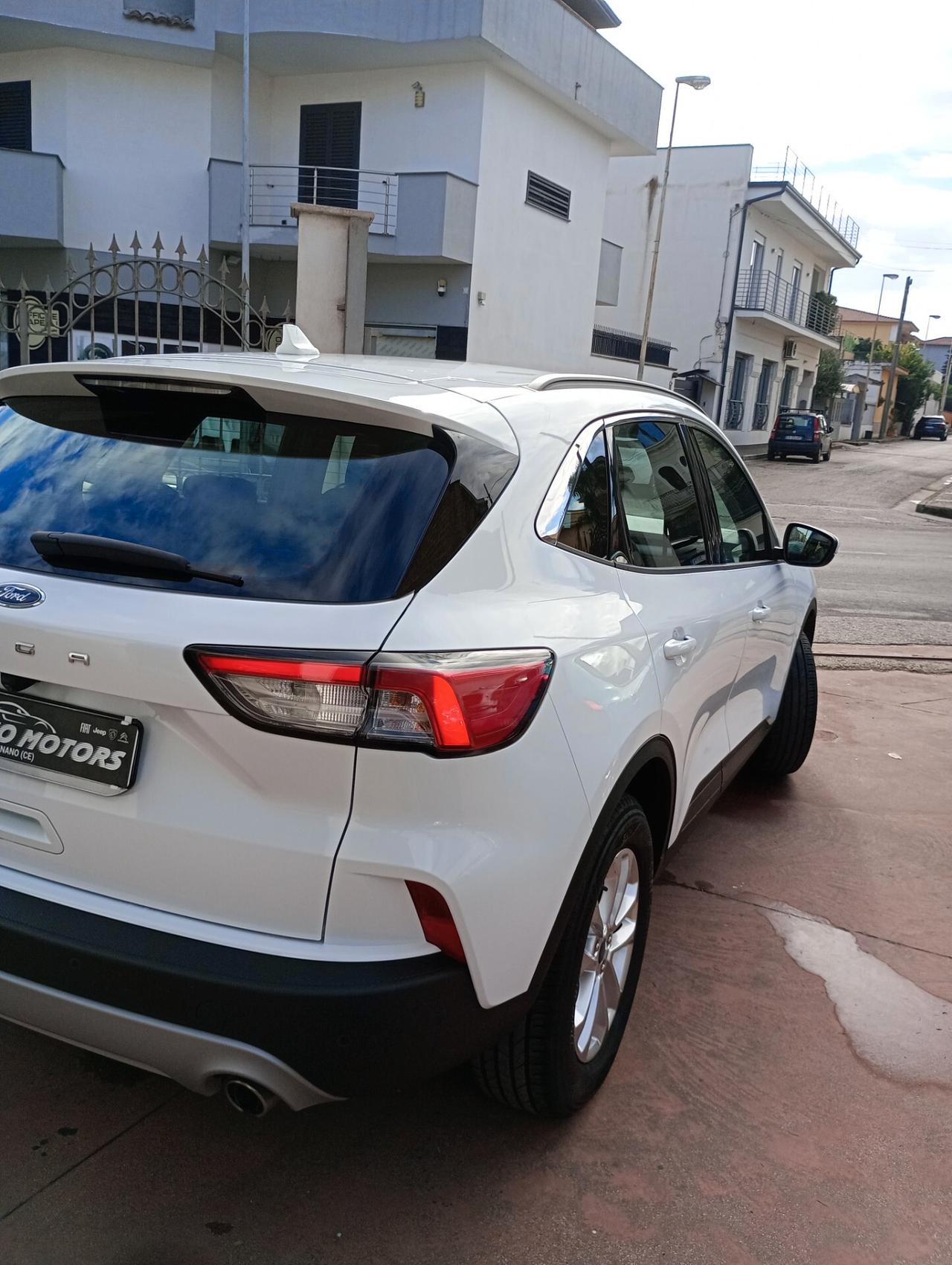 Ford Kuga 1.5 EcoBlue 120 CV aut. 2WD Titanium Business