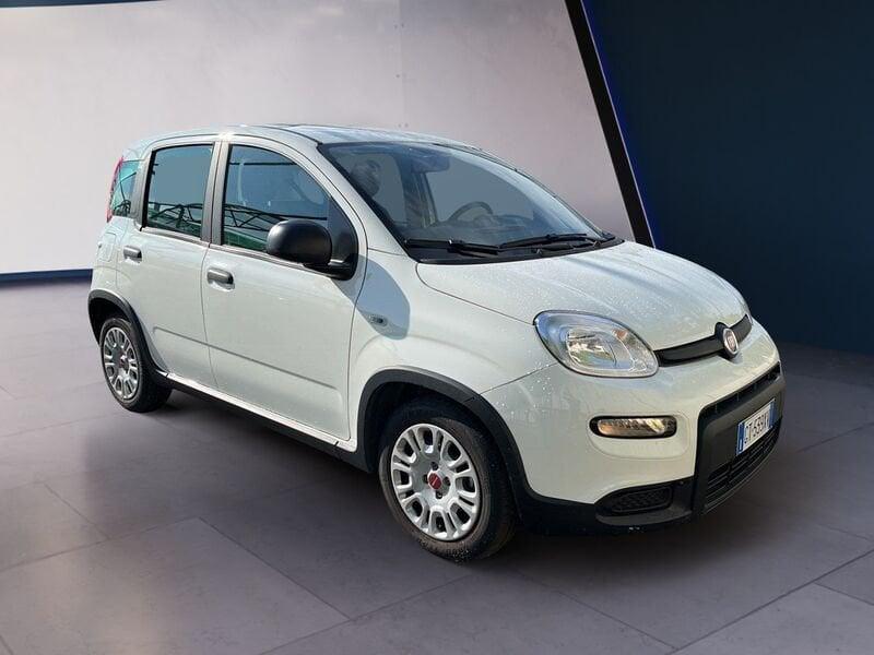 FIAT Panda My23 1.0 70cv Hybrid Panda