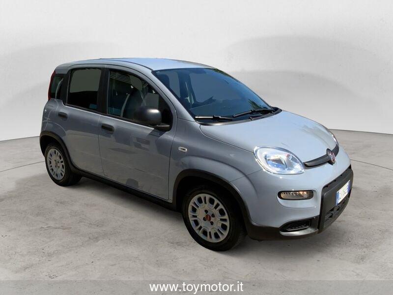 FIAT Panda 3ª serie 1.0 FireFly S&S Hybrid