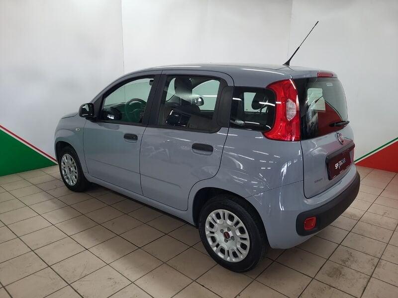 FIAT Panda 1.2 69 CV EasyPower E6d-Temp Easy