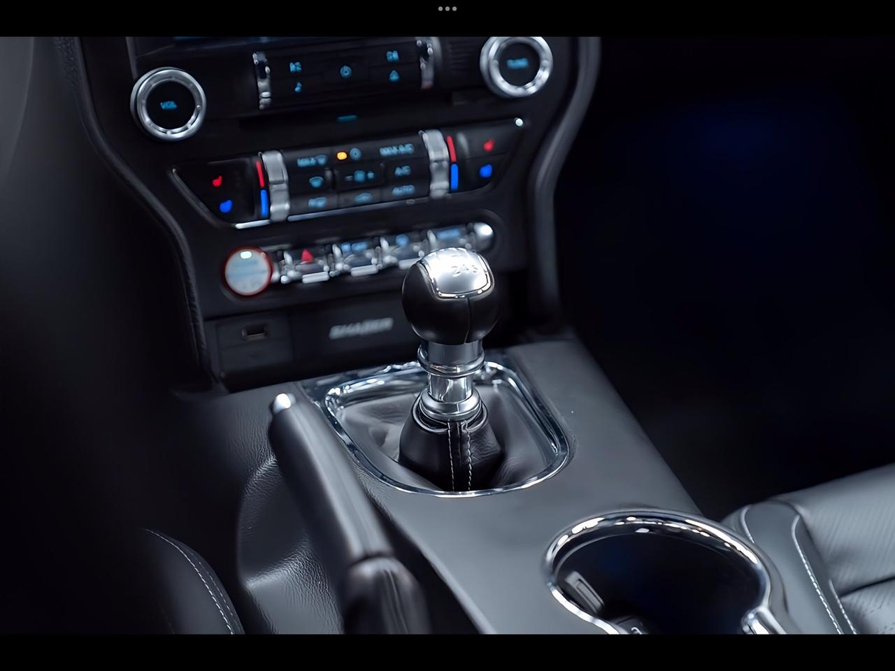 MUSTANG 320 CV PERFETTA