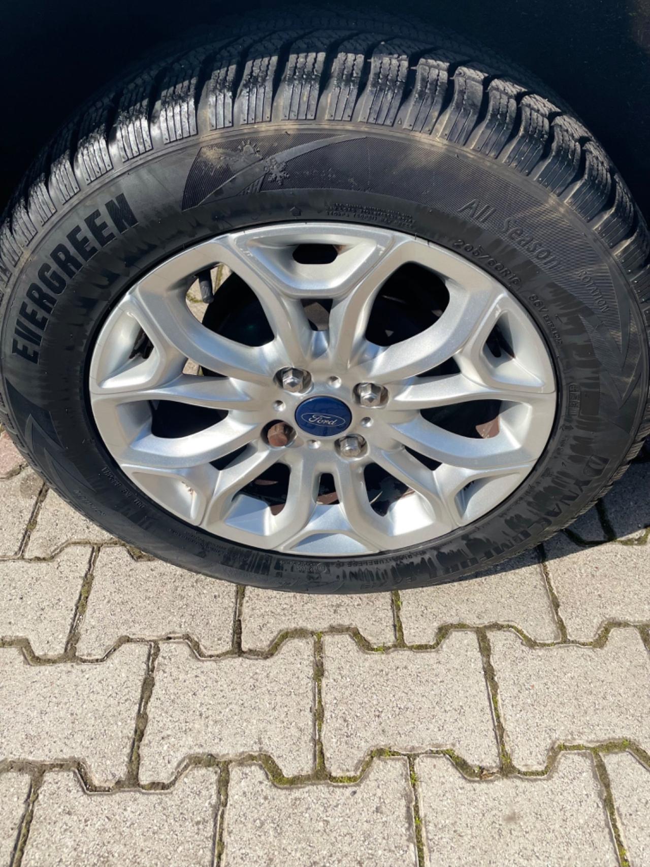 Ford EcoSport 1.0 EcoBoost 125 CV Business