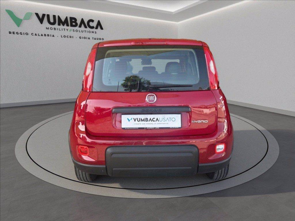 FIAT Pandina 1.0 firefly hybrid Icon s&s 70cv del 2024