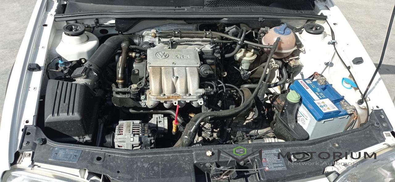 Volkswagen Golf Cabriolet 1.6 cat Classic