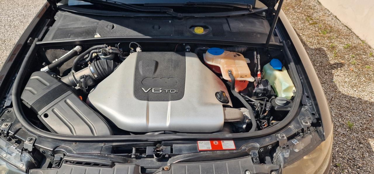 Audi A4 Cabriolet 2.5 V6 TDI cat