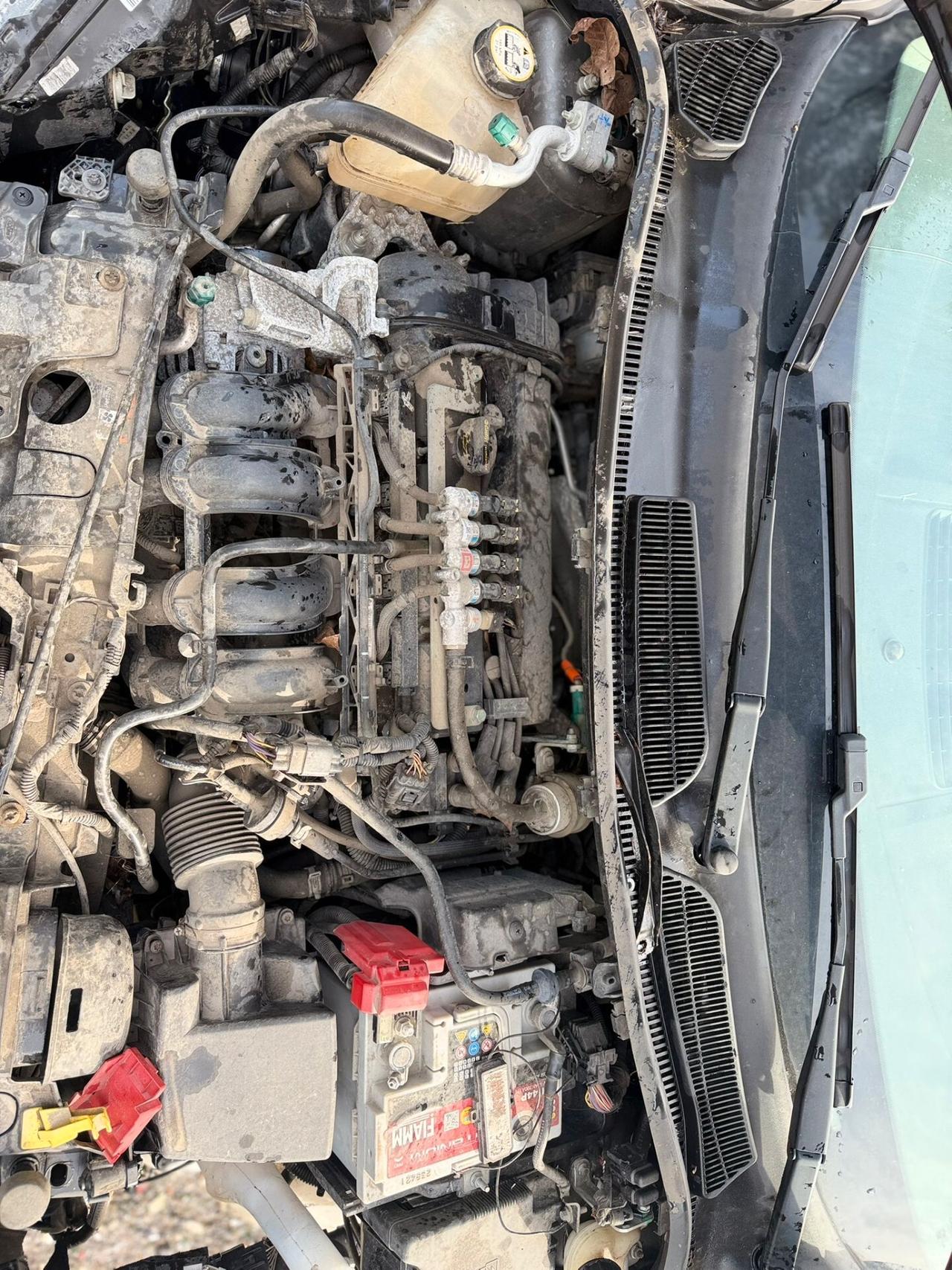 Ford Fiesta 1.4 5 porte Bz.- GPL Black & White Edition Sinistrata Incidentata