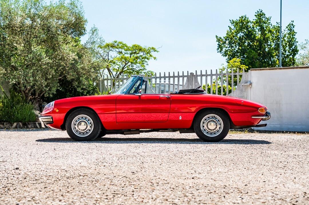 Alfa Romeo Spider Junior 1.3 “Osso di Seppia”