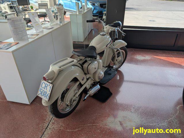 MOTOM Dolcevita 160 DELFINO