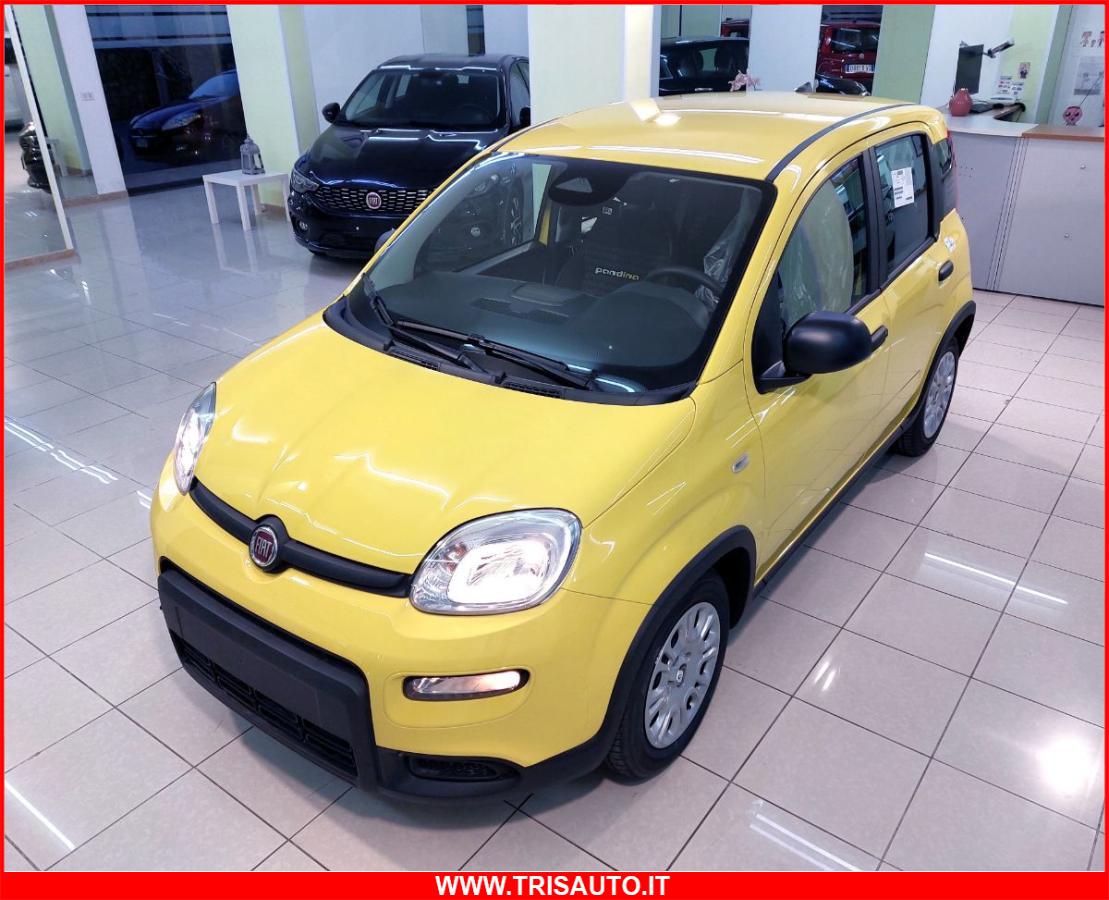 FIAT Panda 1.0 FireFly S&S Hybrid MY24 KM ZERO!!! IVATA NEOPATENTATI