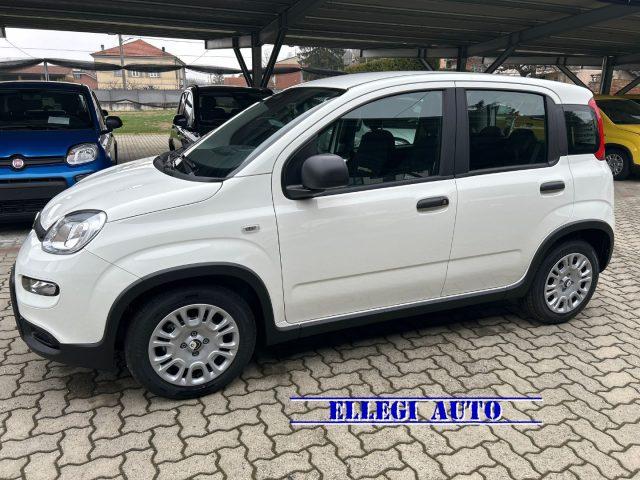 FIAT Panda PROMO FINANZ 1.0 HYBRID 5 POSTI +PACK CITY KM 0