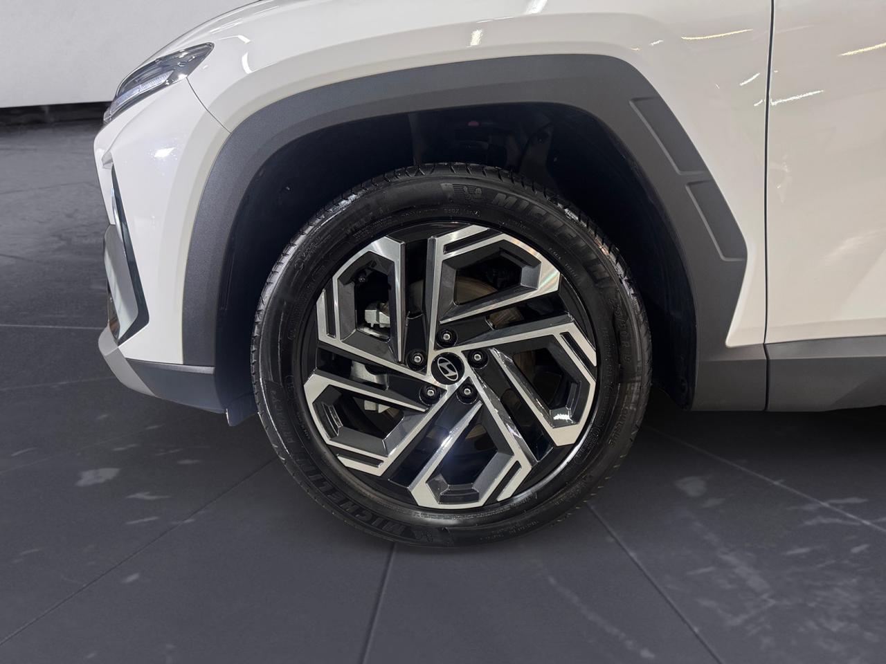 HYUNDAI TUCSON PE 1.6PHEV AT 2WD EXELLENCE+(C)