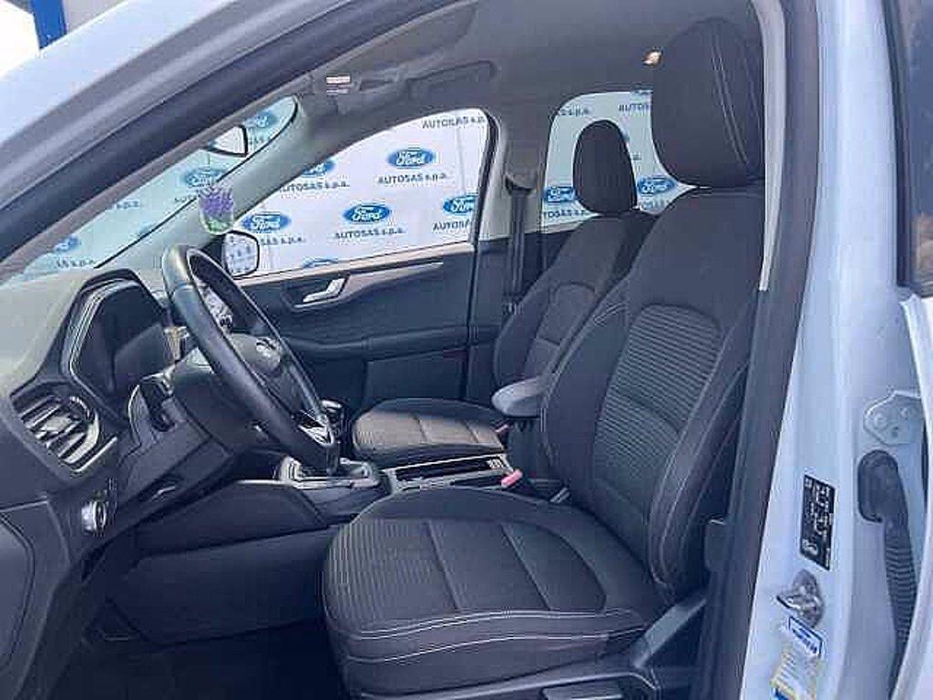 FORD Kuga 1.5 EcoBlue 120 CV 2WD Titanium Business del 2021