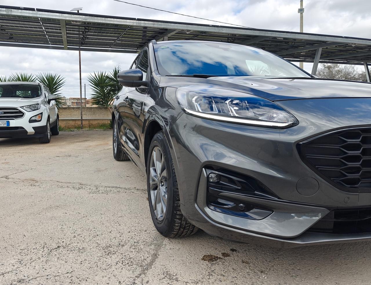 Ford Kuga 1.5 EcoBlue 120 CV aut. 2WD ST-Line X