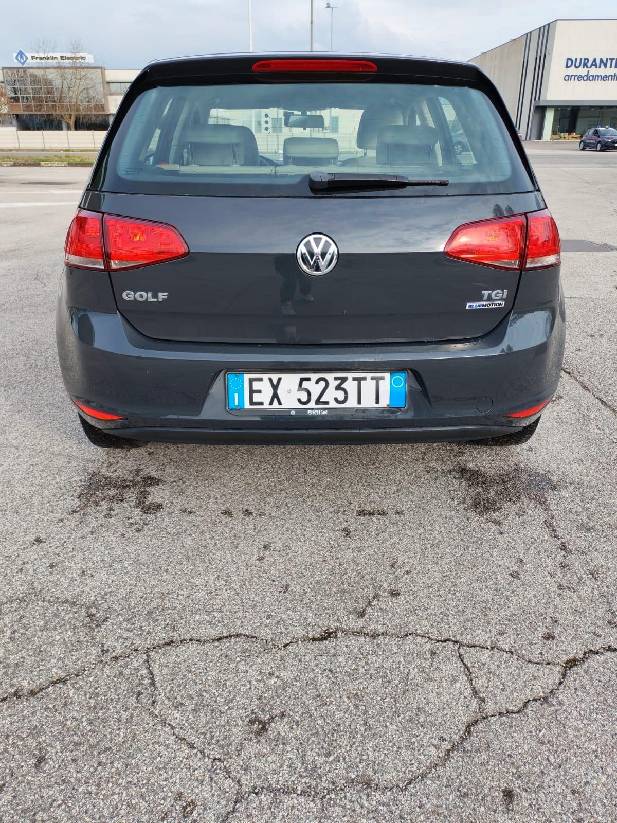 Volkswagen Golf Business 1.4 TGI DSG 5p. Highline BlueMotion