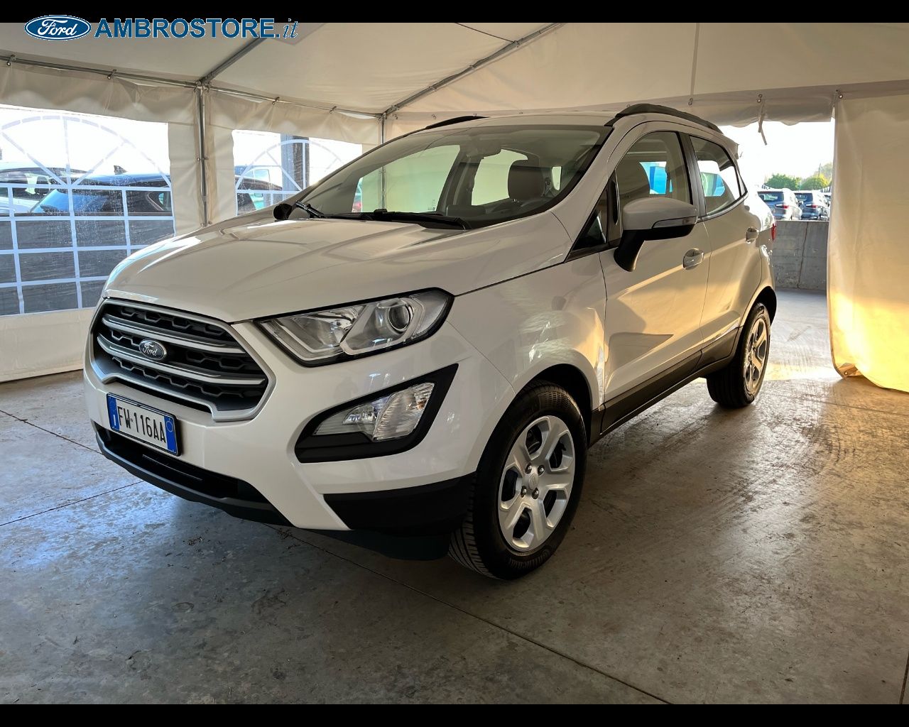 FORD Altri modelli EcoSport 1.0 ecoboost Plus s&s 125cv auto my19