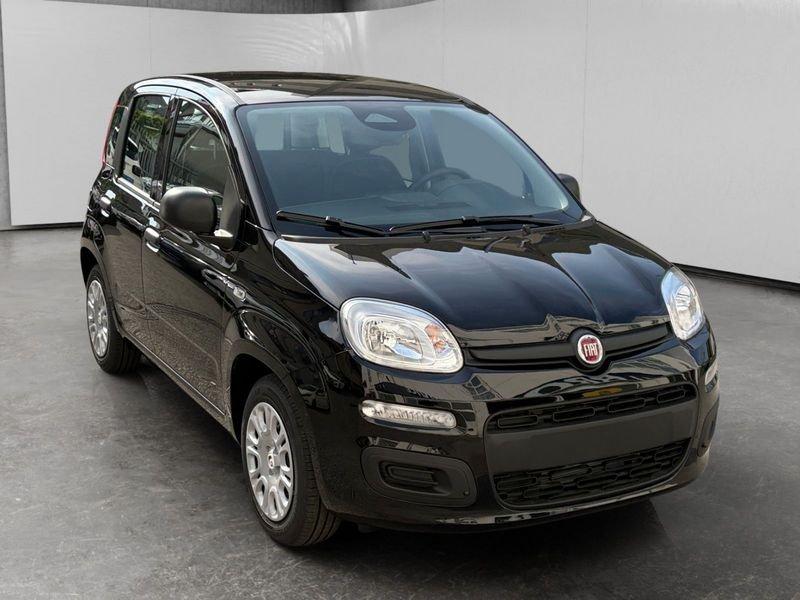 FIAT Pandina 1.0 firefly hybrid Icon s&s 70cv