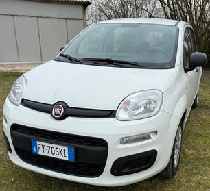 Fiat Panda 1.2 69 cv: Lounge ADATTA A NEOPATENTATI