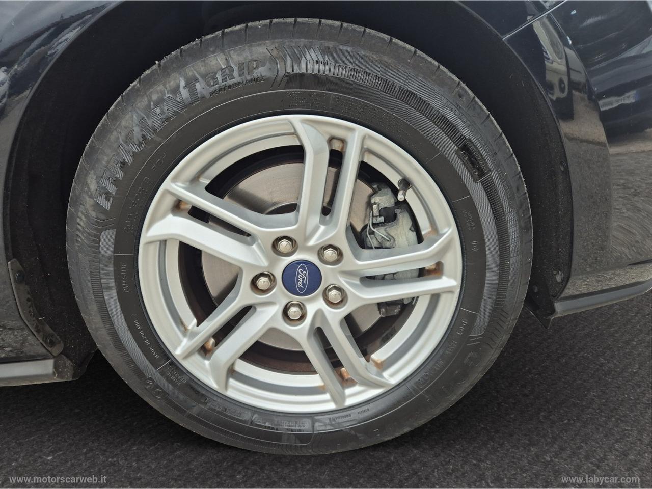 FORD Focus SW 1.5 EcoBlue 120cv Business S&S