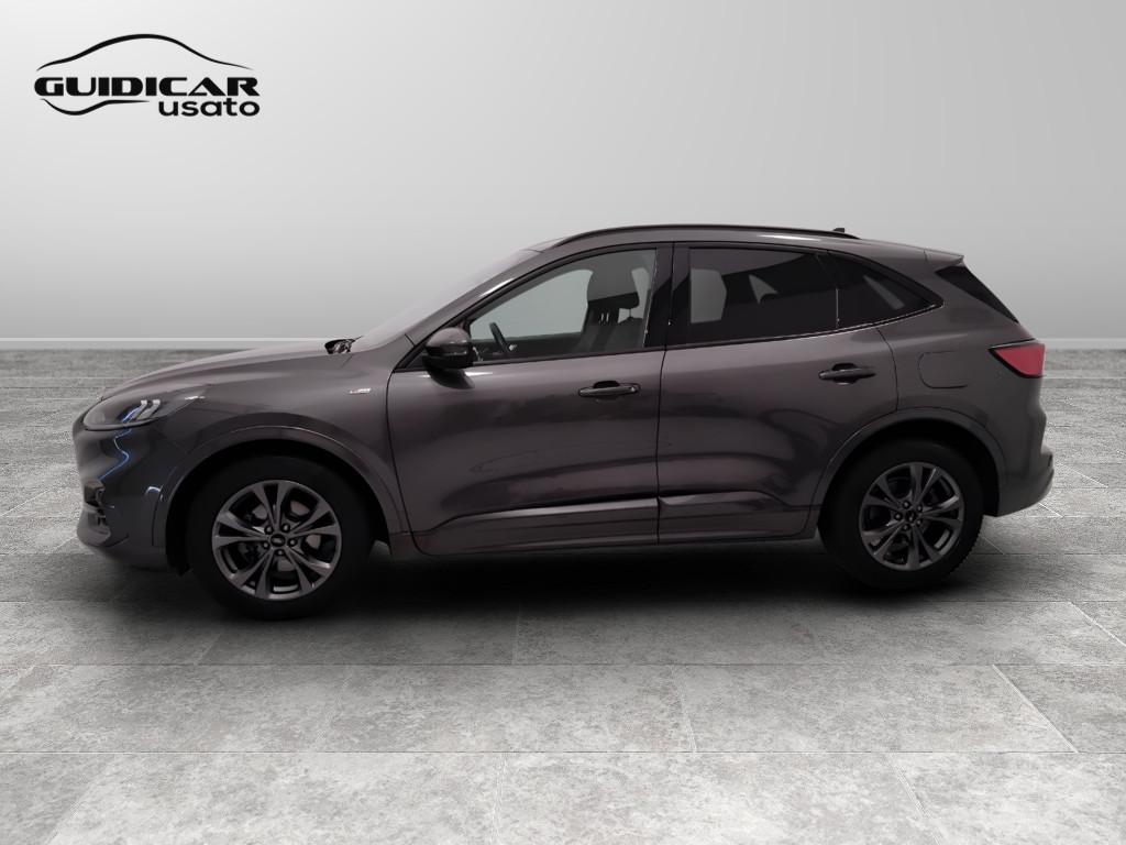 FORD Kuga III 2020 - Kuga 1.5 ecoblue ST-Line 2wd 120cv