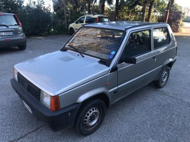 Fiat Panda 900 i.e. cat Young