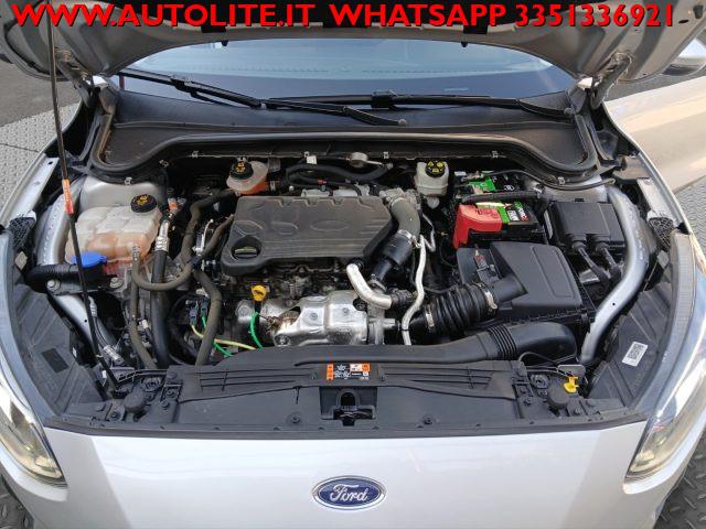FORD Focus 1.5 EcoBlue 120 CV SW Business