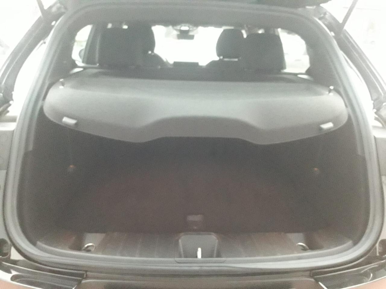 Alfa Romeo Tonale 1.6 diesel 130 CV TCT6 Ti