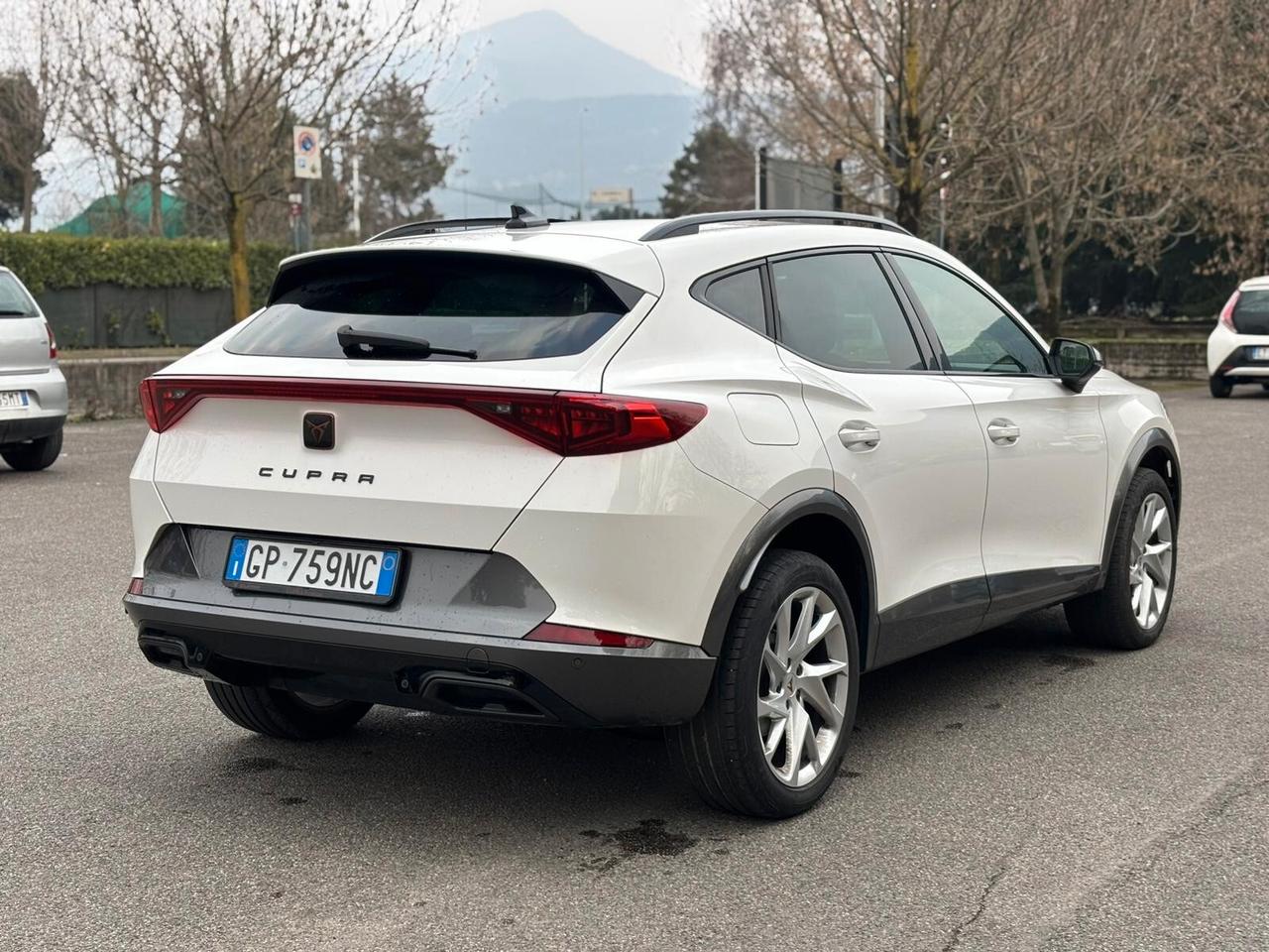 Cupra Formentor 2.0 TDI 4Drive DSG