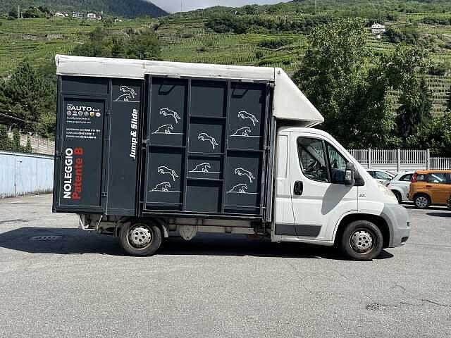 Fiat Ducato 30 2.3 MJT Trasporto Cavalli