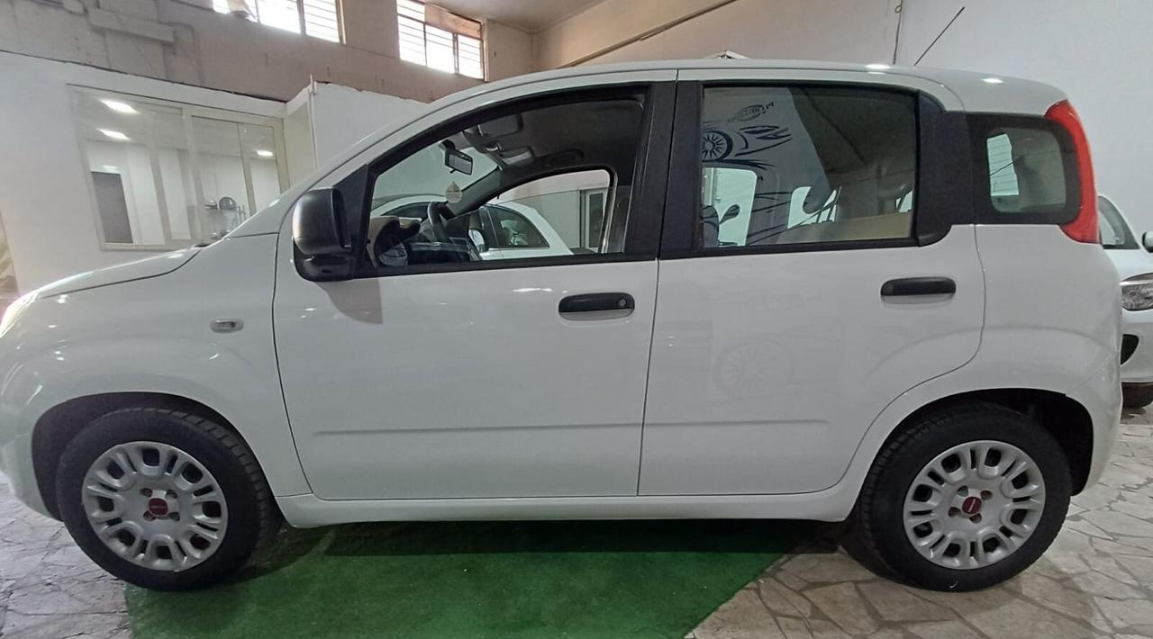 Fiat Panda GPL DI SERIE Perfetta - 2017