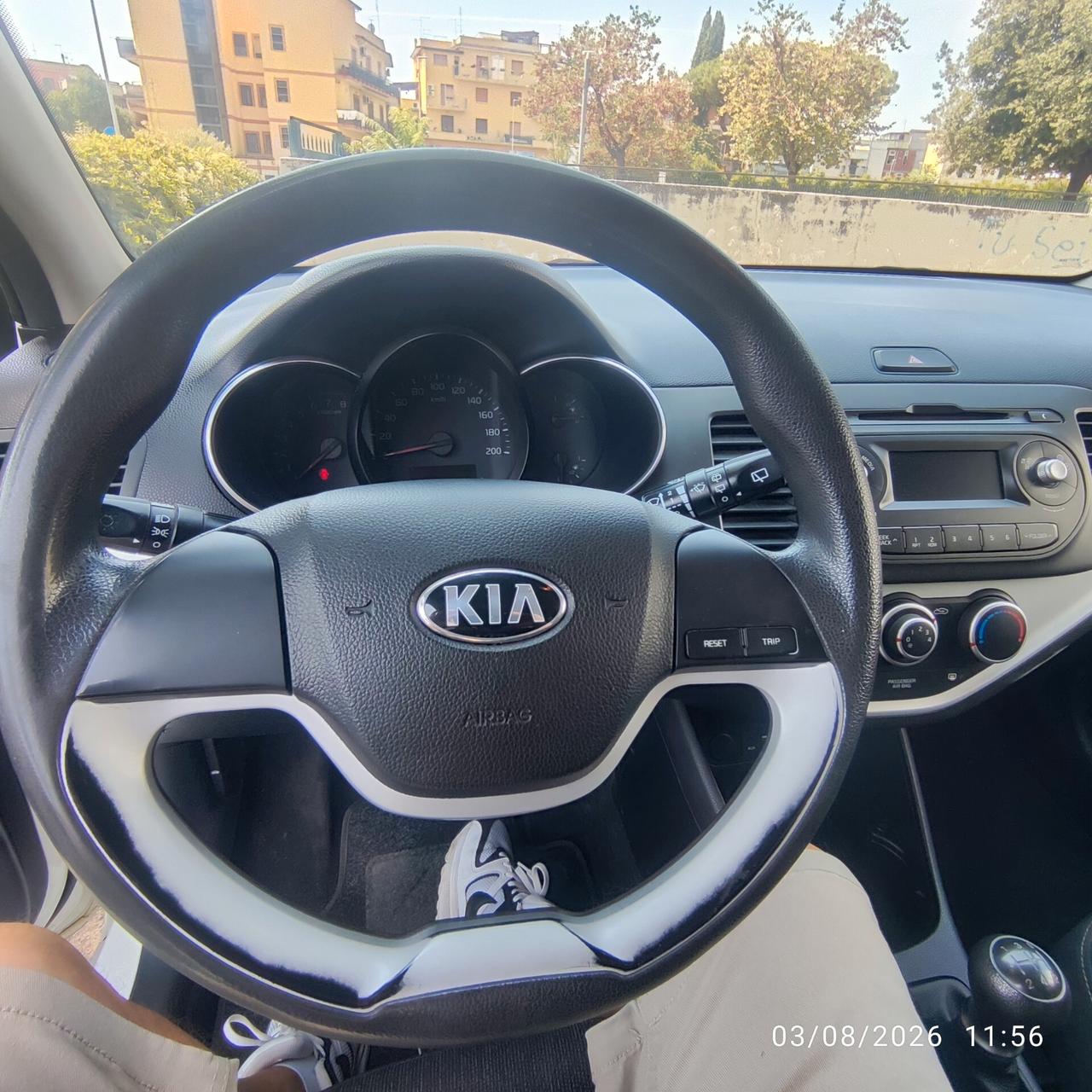 Kia Picanto 1.0 12V EcoGPL 5 porte Active Collection euro 6