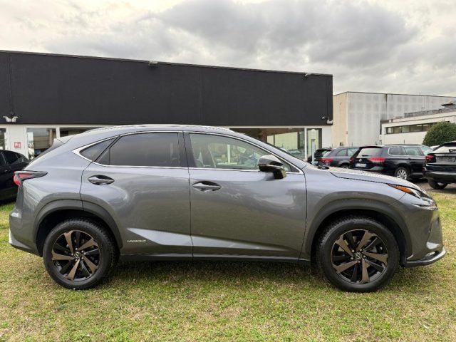 LEXUS NX 300 Hybrid 4WD Premium NAVI - LED - PELLE - TELEC - 18