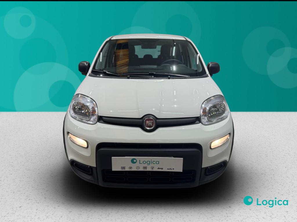 FIAT Panda III 2021 - Panda 1.0 firefly hybrid Sport s&s 70cv 5p.ti
