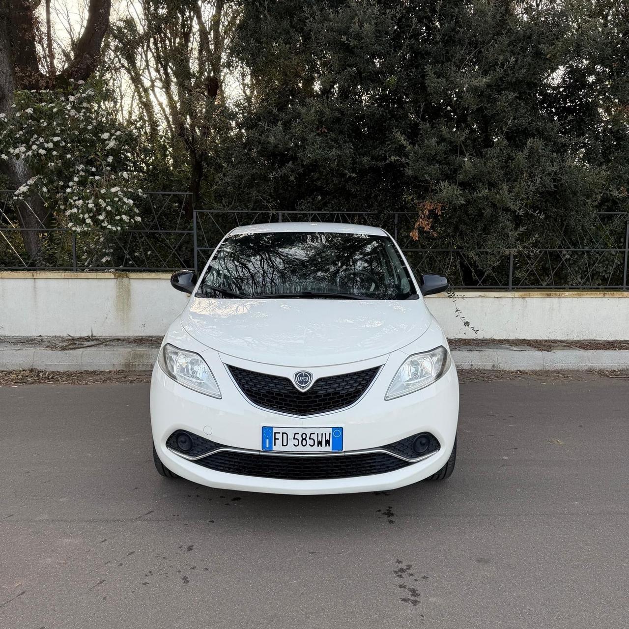 Lancia Ypsilon 1.2 69 CV 5 porte Gold