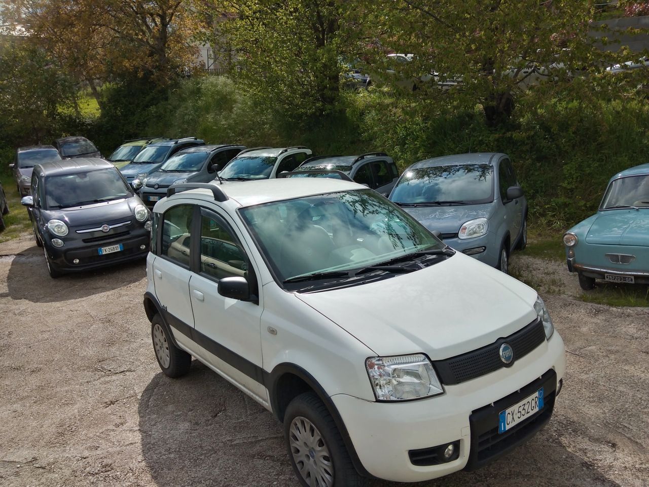 Fiat Panda 1.3 m j4x4 CLIMBING VENDUTA