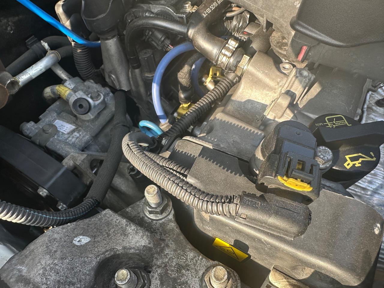 PUNTO 1.2 METANO - ECOLOGICA