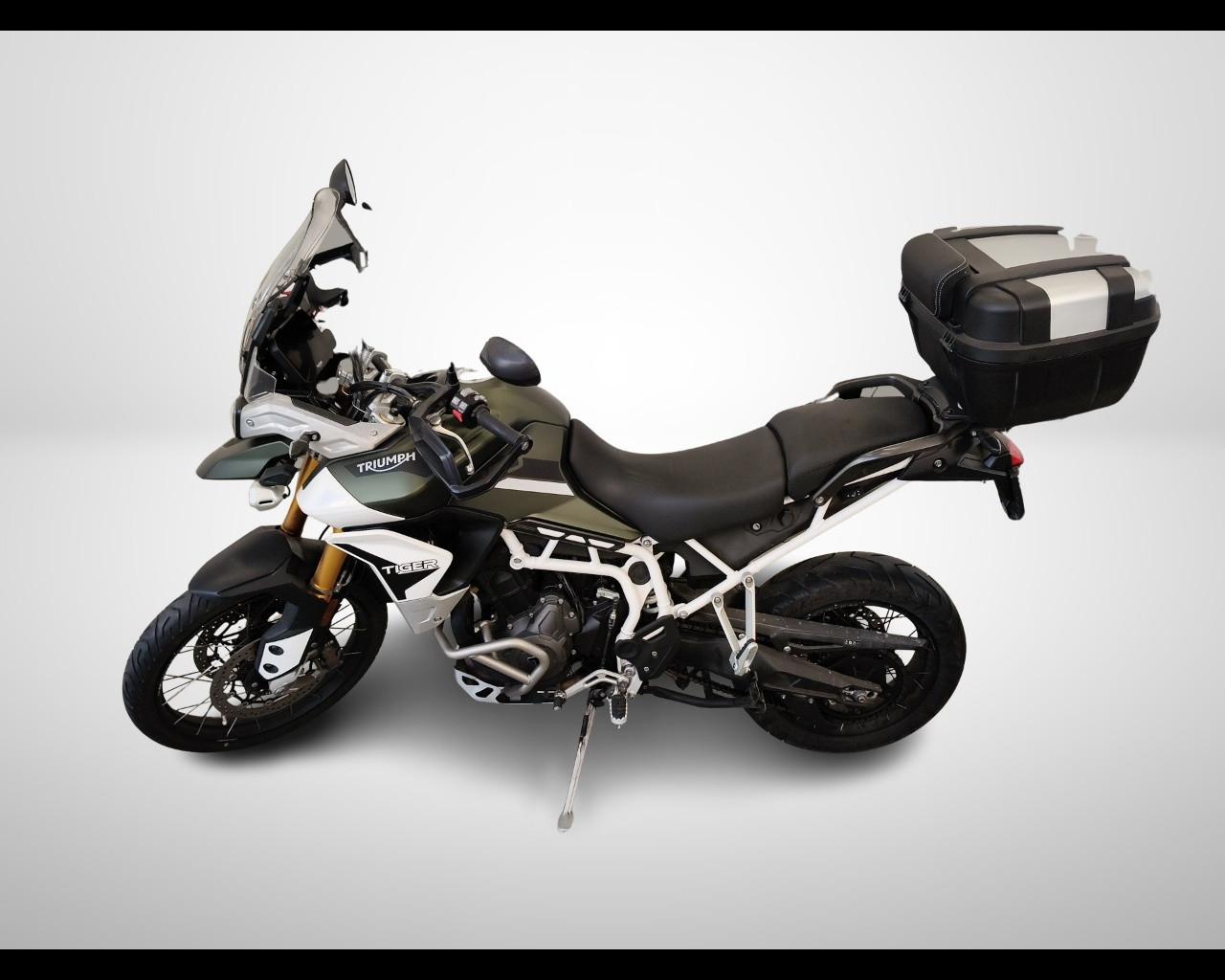 TRIUMPH Tiger 900 - Rally Pro