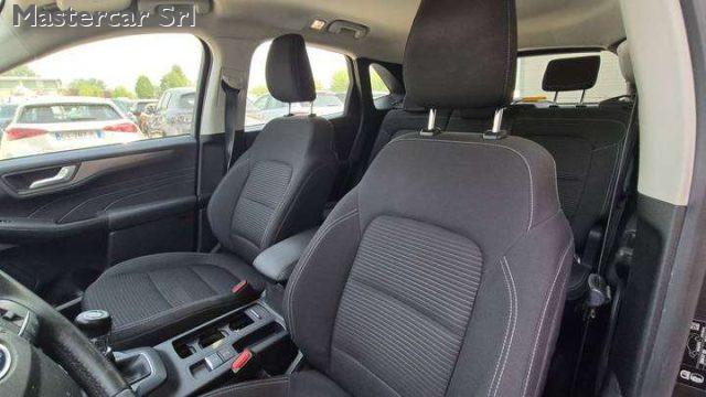 FORD Kuga 2.0 EcoBlue MHEV 150CV 2WD Titanium TG : GG252WT