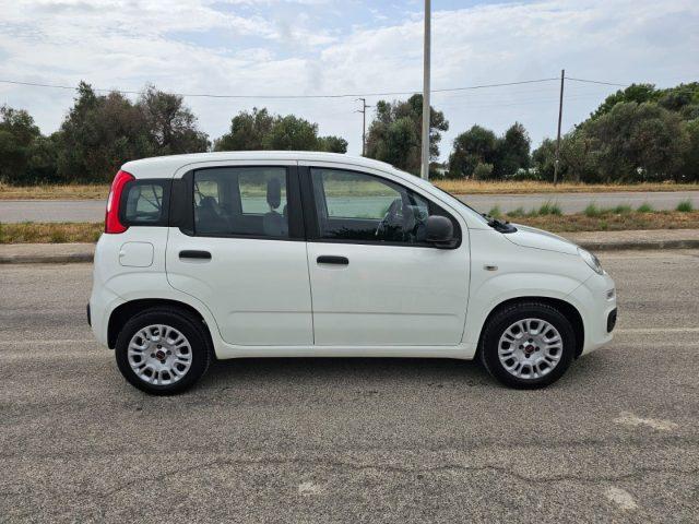 FIAT Panda 1.3 MJT S&S Easy Van 4 posti AUTOCARRO