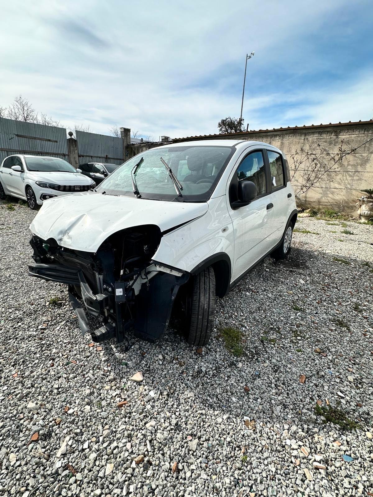 Fiat Panda 1.0 Hybrid 05/2023 sinitrata