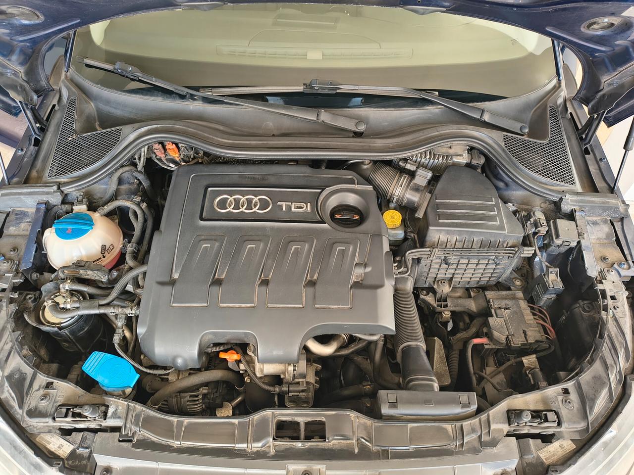 AUDI A1 1.6 TDI AMBITION "TENUTA BENISSIMO"