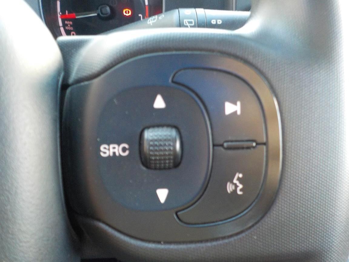 Fiat Panda 1.0 FireFly S&S Hybrid City Cross