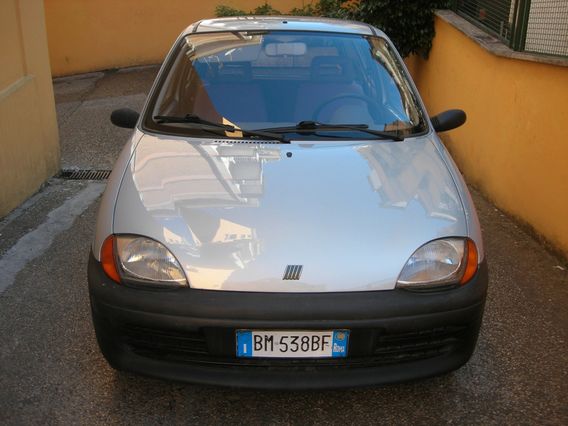 Fiat Seicento 900i Cat Young