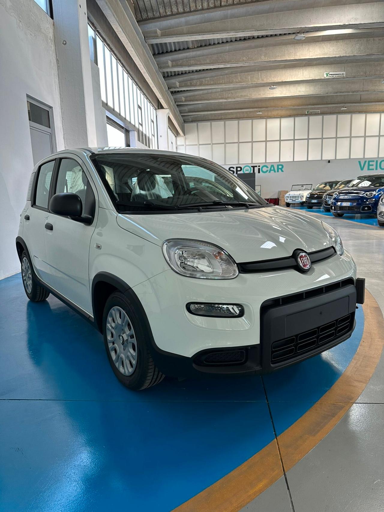 FIAT PANDA 1.0 Hybrid KM 0 2024 Nuova PANDINA