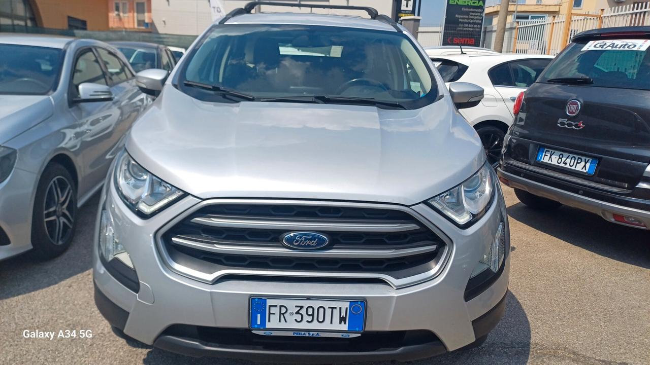 Ford EcoSport 1.0 EcoBoost 100 CV Business