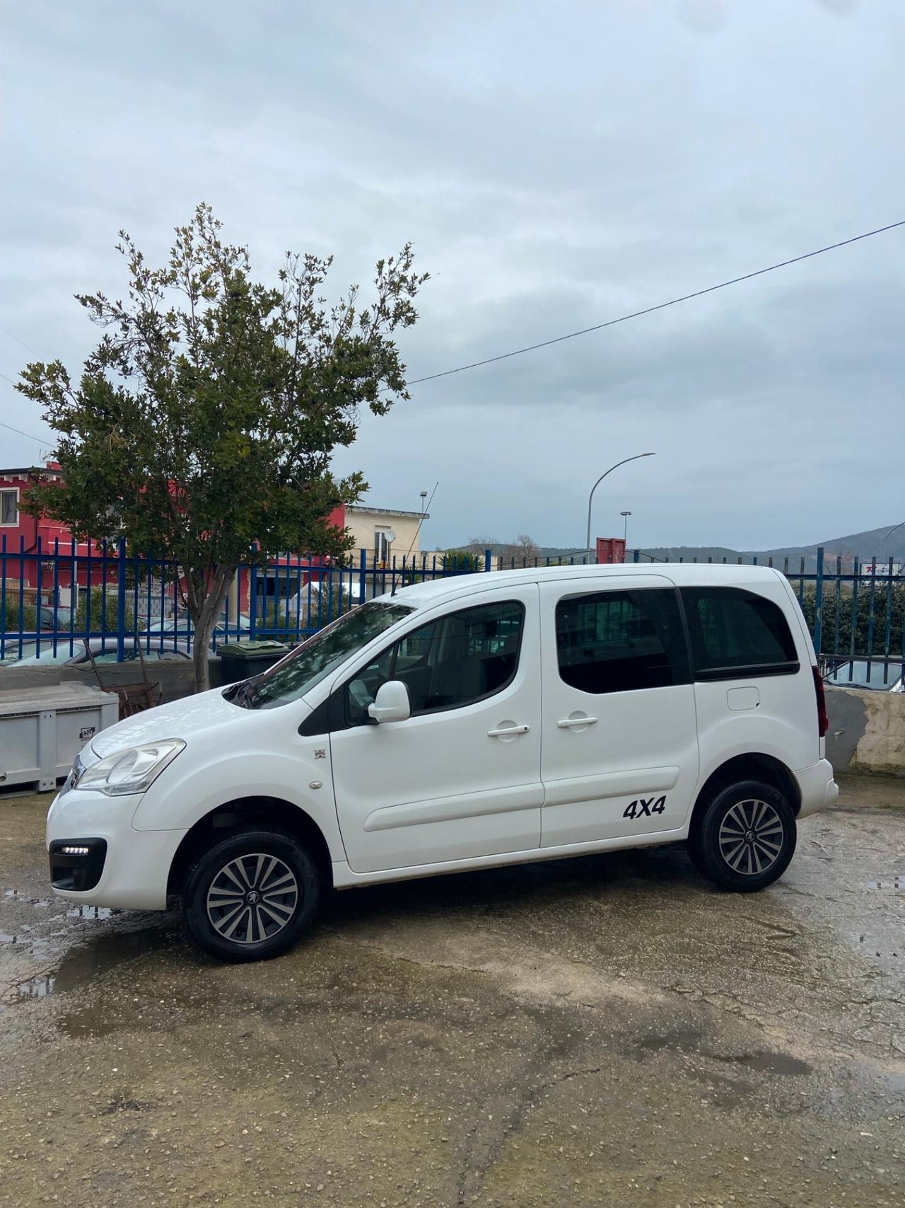 Peugeot Partner hdi 100 cv 4x4 DANGEL OUTDOOR