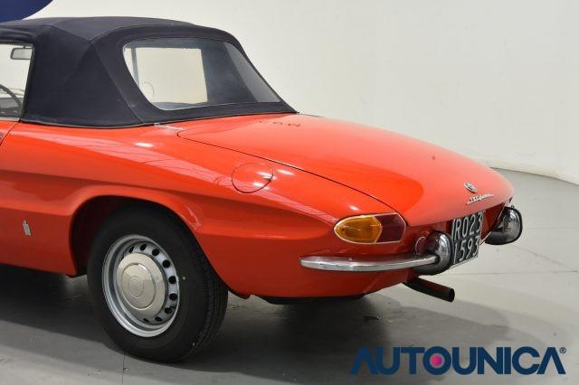 ALFA ROMEO Spider 1300 JUNIOR OSSO DI SEPPIA ASI TARGA ORO