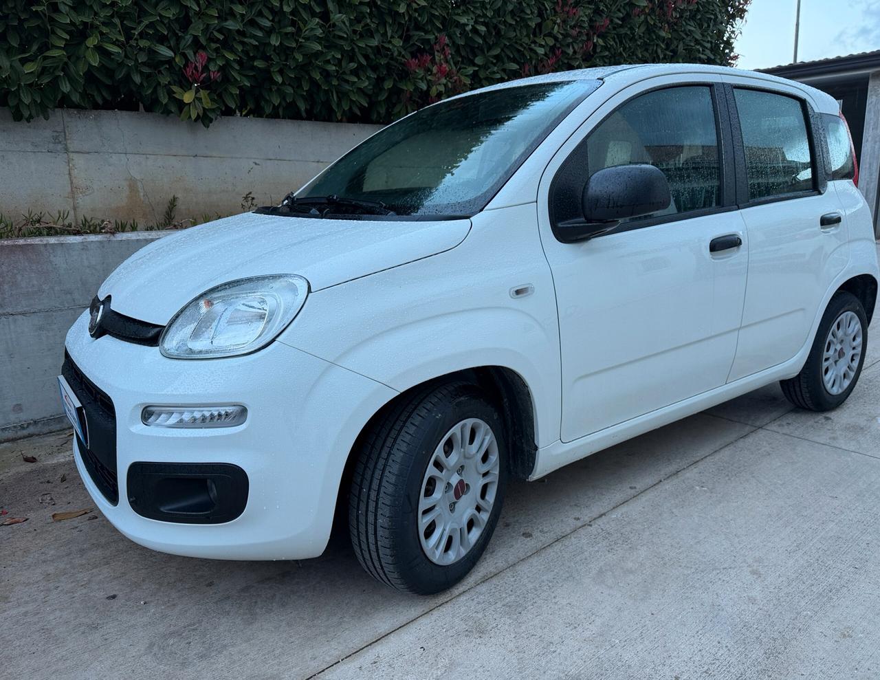 Fiat New Panda 1.2 cv 70 Lounge. Euro 6B