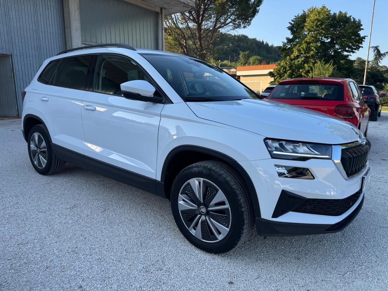 Skoda Karoq 1.0 TSI 110 CV Executive